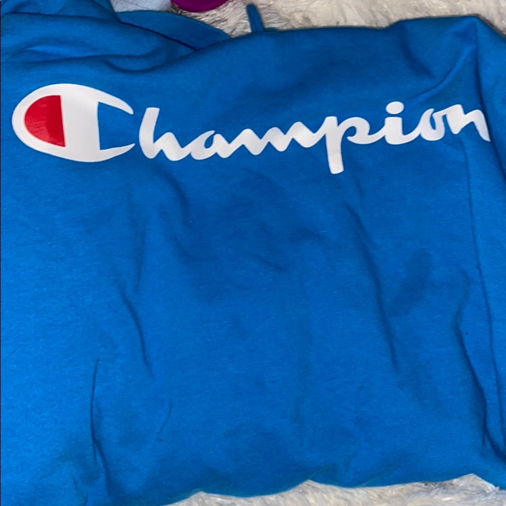 Lightweight champion hoodie